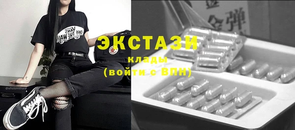 шишки Лабытнанги