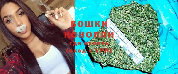 шишки Лабытнанги