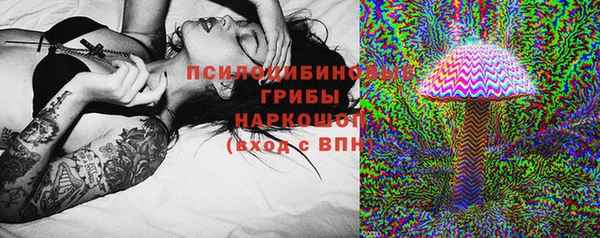 первитин Кукмор