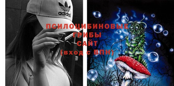 прущие грибы Лагань