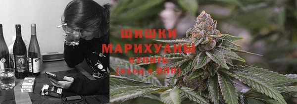 шишки Лабытнанги